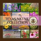TEXAS NATIVE SEEDS ZONES 8-9