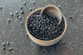 Black Beans Seeds, Frijoles Negros, Phaseolus vulgaris PV0420