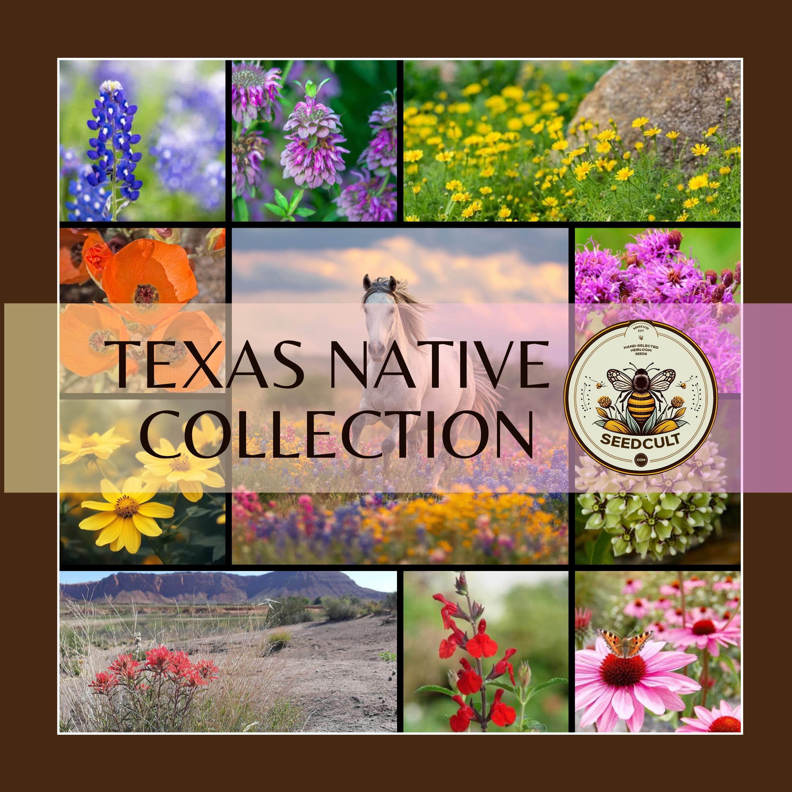 TEXAS NATIVE SEEDS ZONE 9-10