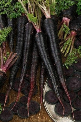 Black Nebula Carrot Seeds, Organic Daucus Carota, Jet Black Carrots DC0450