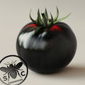 Organic Indigo Apple Tomato Seeds, Heirloom, Non-GMO, Solanum Lycopersicum LY2120