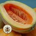 NEW! Banana Melon Seeds, Cucumis melo var. cantalupensis, CU2425