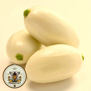 Dragon's Egg Cucumber Seeds, Cucumis Sativus CU1310