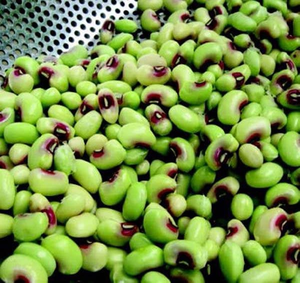 Organic Pink Eyed Peas, Organic Seeds, Vigna Unguiculata, Purple Pods VI0830