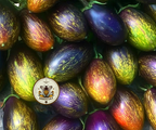 Brad's Atomic Grape Tomato Seeds, LY4620