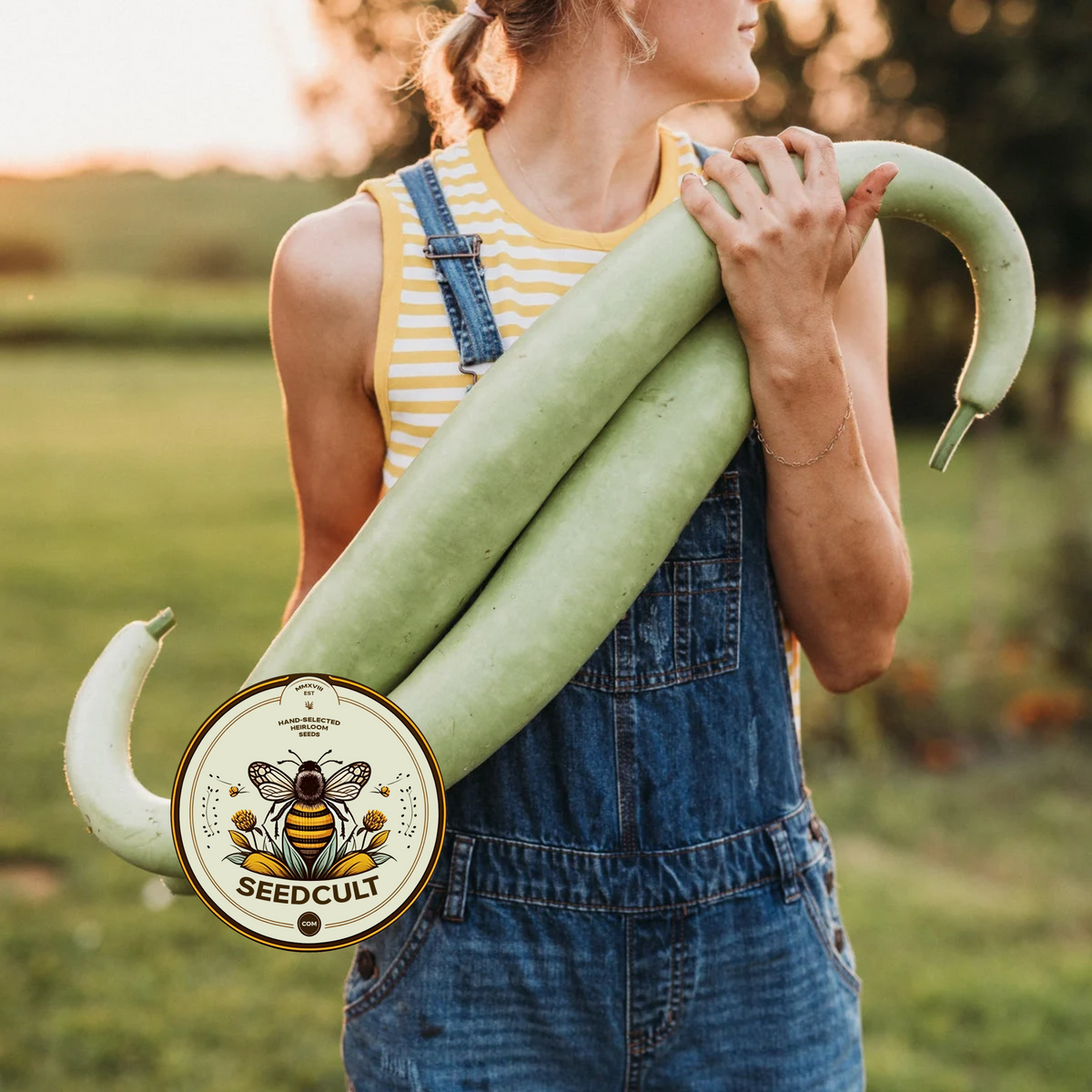 Snake Gourd Seeds, Cucuzzi, Gagootz, Edible Gourd, Italian Delicacy, Lagenaria Siceraria, LS0210