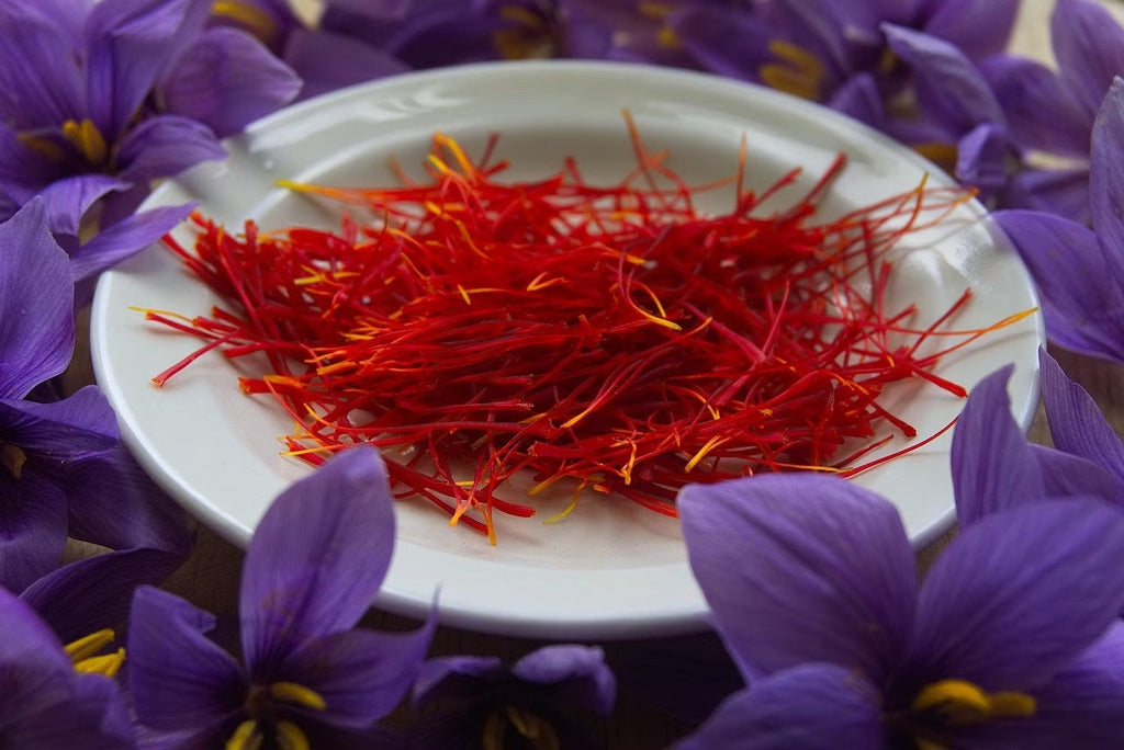 Saffron Crocus Bulbs, Crocus Sativus, 1CR0110