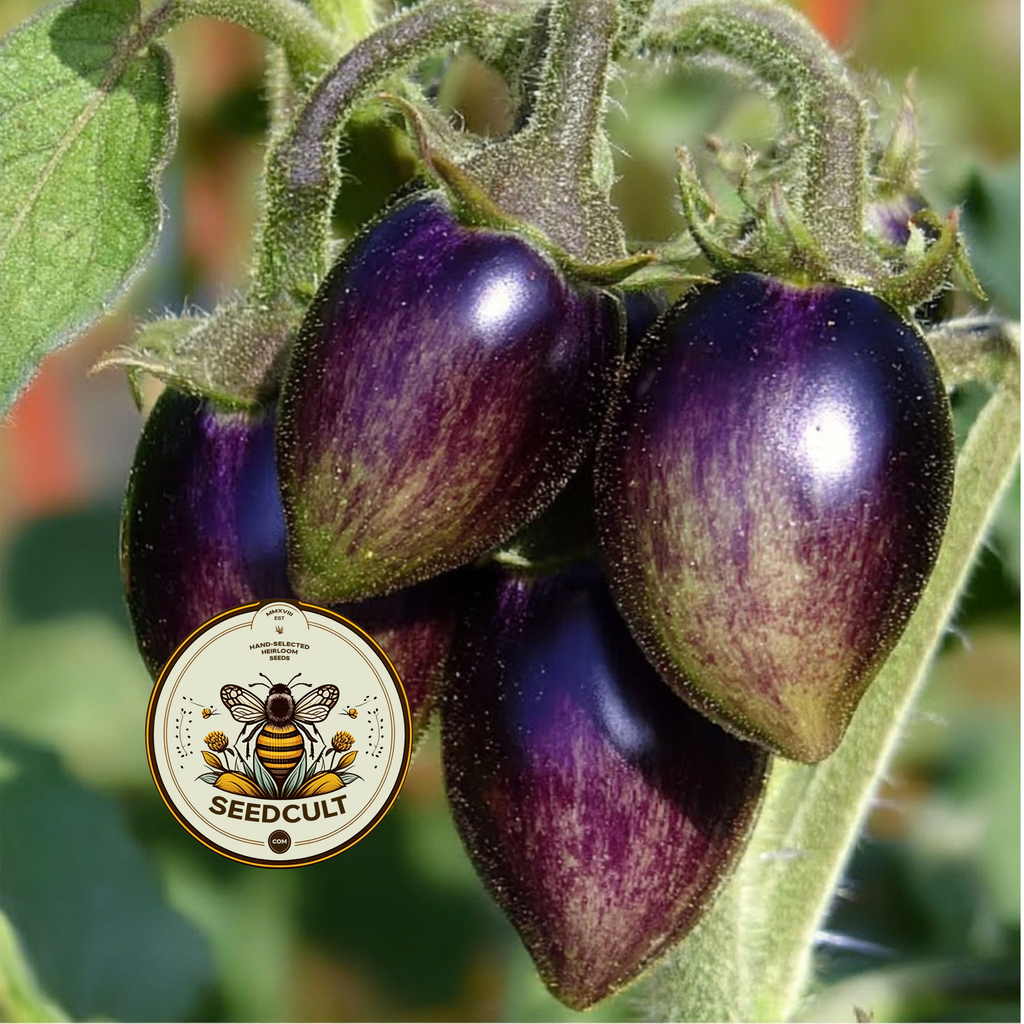 Brad's Atomic Grape Tomato Seeds, LY4620