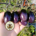 Brad's Atomic Grape Tomato Seeds, LY4620