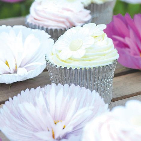 Cupcake Cosmos Seeds Mix, Blush Pink and White, Cups and Saucers, Double Pom Pom Blooms, Cottage Garden Annual, All Zones, CO0225