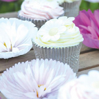 Cupcake Cosmos Seeds Mix, Blush Pink and White, Cups and Saucers, Double Pom Pom Blooms, Cottage Garden Annual, All Zones, CO0225