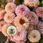 Pastel Mix Zinnia Seeds, Peach, Light Pink, Lilac, Mauve and Cream, ZE5425