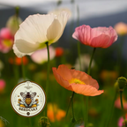 Iceland Poppy Seeds, Papaver Nudicaule, Red, Orange, Pink, Rose, Yellow, White, Bi-color, Perennial/Annual, Fall Planting PN802CR