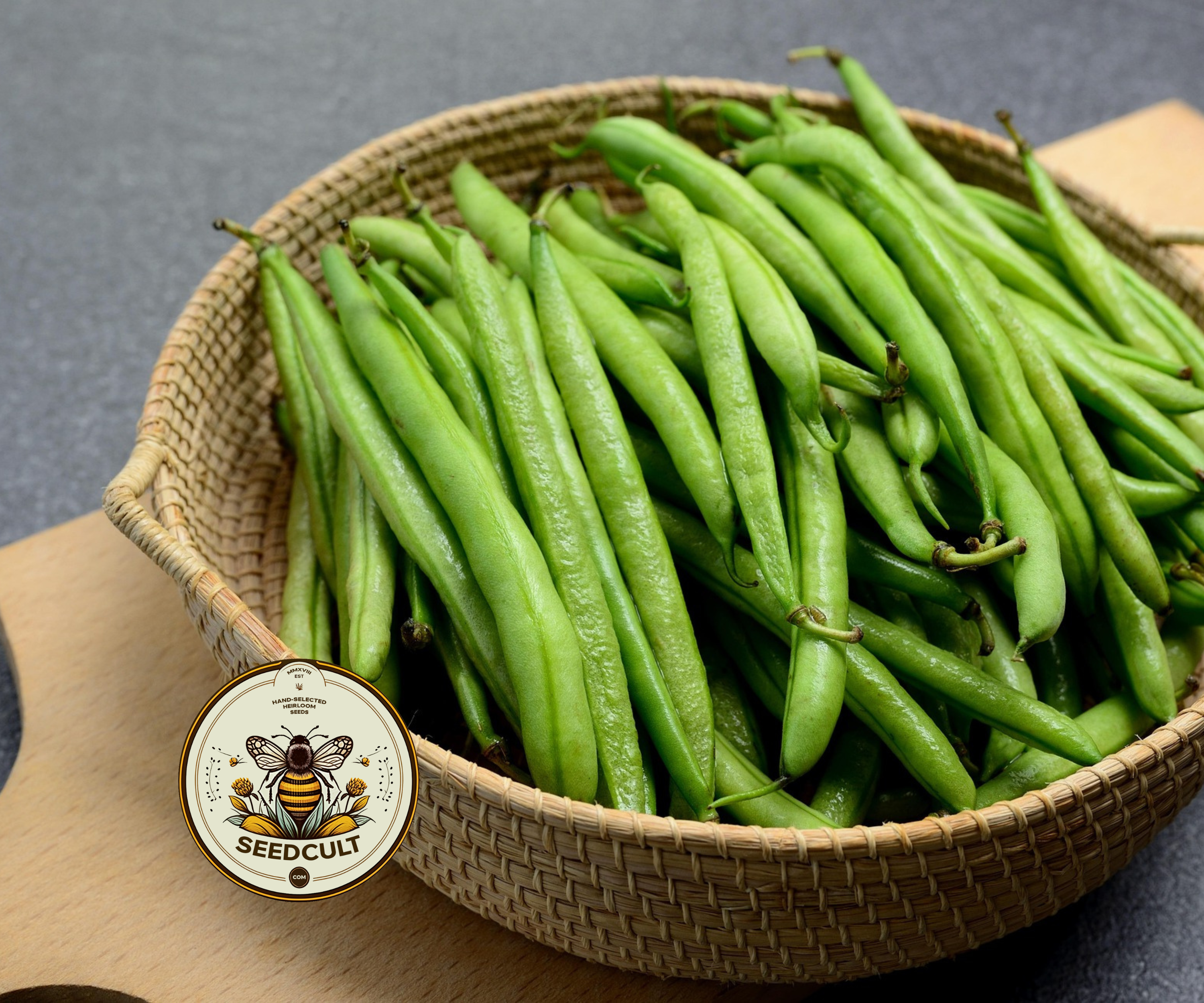Tendergreen Green Bean Seeds, Phaseolus vulgaris PV1350