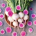 Watermelon Radish Organic Seeds, Raphanus Sativus Acanthiformis, Pink, White and Green RA0175