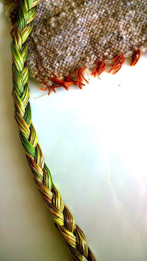 Sweetgrass Seeds, Hierochloe Odorata, Vanilla Grass, Holy Grass, Sweet Grass Seeds HI9025R