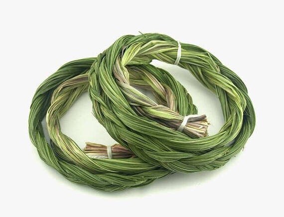 Sweetgrass Seeds, Hierochloe Odorata, Vanilla Grass, Holy Grass, Sweet Grass Seeds HI9025R