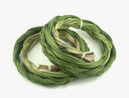 Sweetgrass Seeds, Hierochloe Odorata, Vanilla Grass, Holy Grass, Sweet Grass Seeds HI9025R