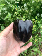Midnight Dreams Bell Pepper Seeds, Black Sweet Peppers, Capsicum Annuum CS1120