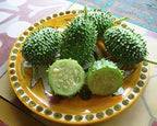 West Indian Gherkin Cucumber Seeds, Burr Melon, Cucumis Anguria CU1425