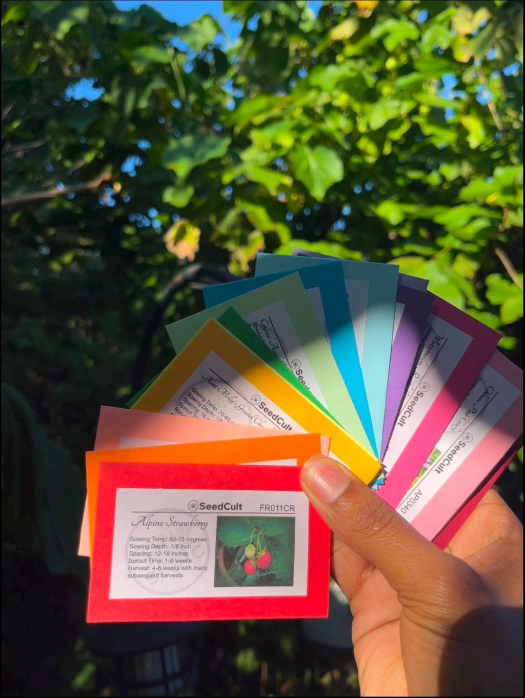Rainbow Fuel Garden Seed Collection in Gift Box, Rainbow Food, Sampler, 14 Individual Packs, 01RF14