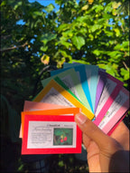 Rainbow Fuel Garden Seed Collection in Gift Box, Rainbow Food, Sampler, 14 Individual Packs, 01RF14