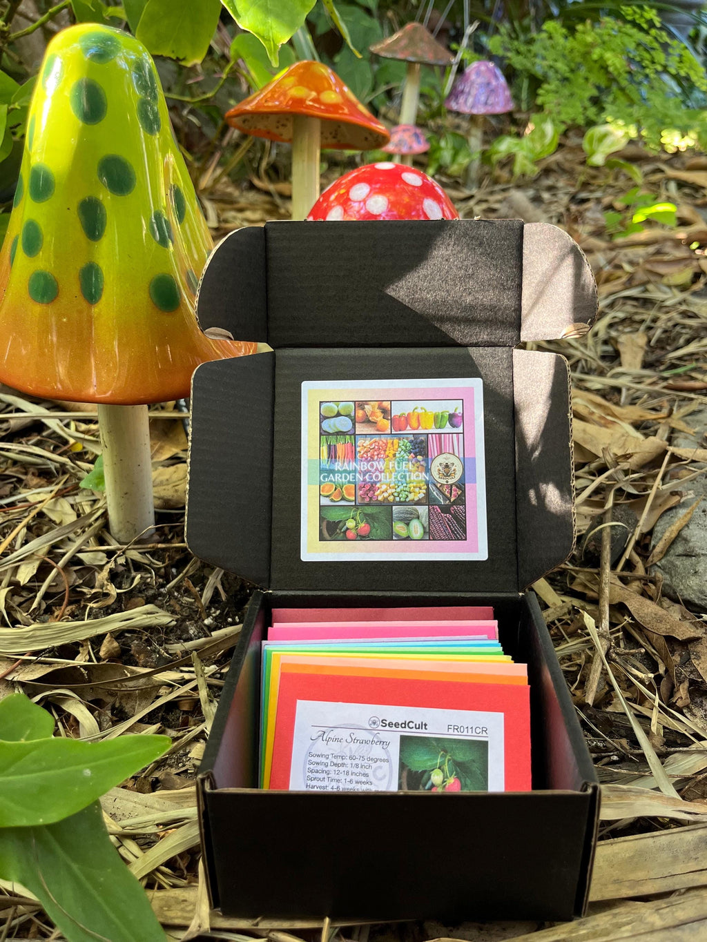 Rainbow Fuel Garden Seed Collection in Gift Box, Rainbow Food, Sampler, 14 Individual Packs, 01RF14