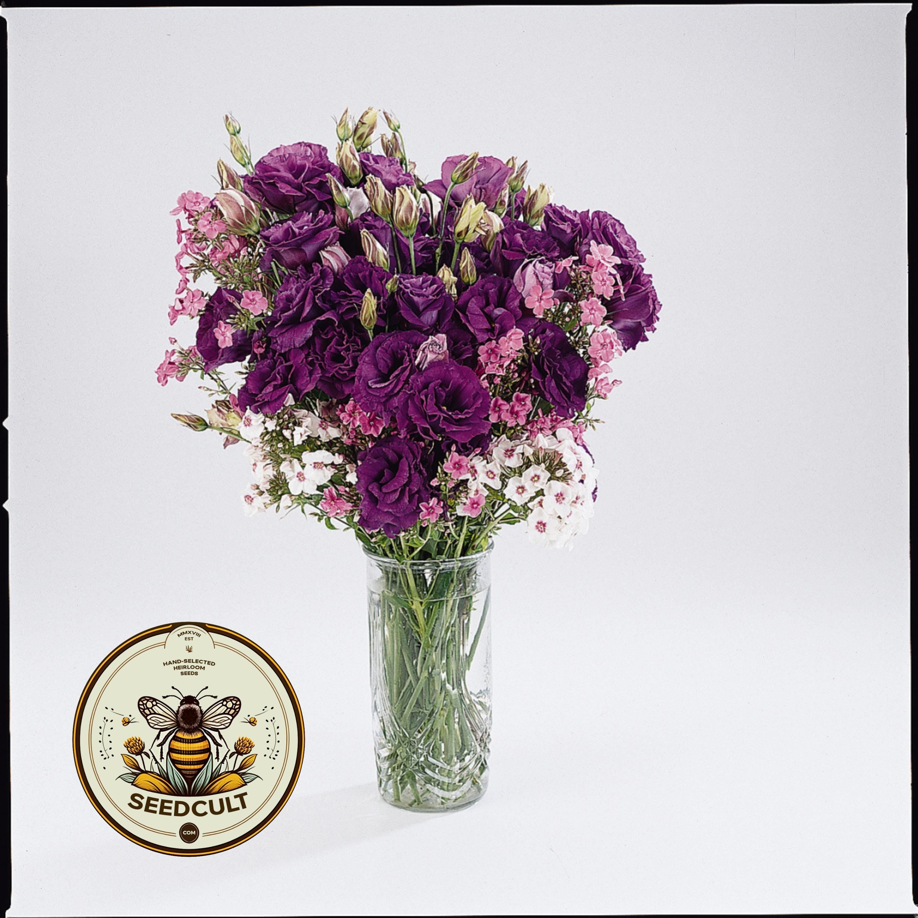 NEW! Purple Lisianthus, ABC Series, Cut Flowers, Eustoma