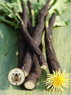 NEW! Black Salsify Seeds, Medieval Food Forest, Scorzonera Hispanica, SC901C