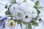 WHITE CROMA 2 LISIANTHUS, CUT FLOWERS, EUSTOMA GRANDIFLORUM